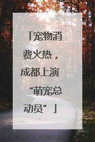 宠物消费火热，成都上演“萌宠总动员”