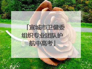 宣城市卫健委组织专业团队护航中高考