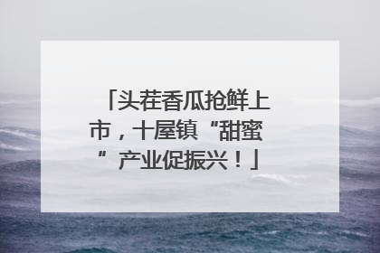 头茬香瓜抢鲜上市，十屋镇“甜蜜”产业促振兴！