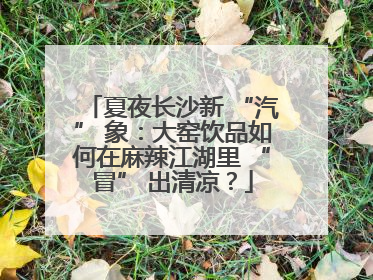 夏夜长沙新 “汽” 象：大窑饮品如何在麻辣江湖里 “冒” 出清凉？