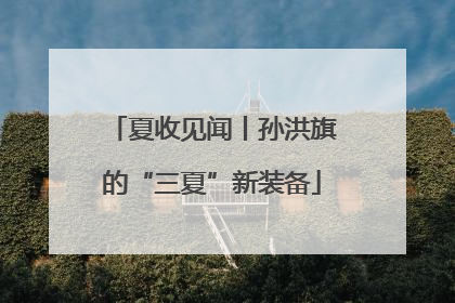 夏收见闻丨孙洪旗的“三夏”新装备