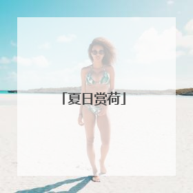 夏日赏荷