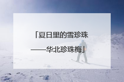 夏日里的雪珍珠——华北珍珠梅