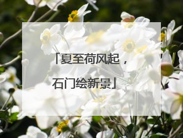 夏至荷风起，石门绘新景