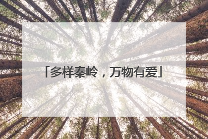 多样秦岭，万物有爱