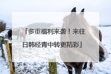 多重福利来袭！来往日韩经青中转更精彩