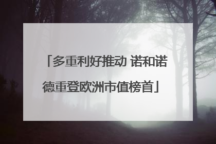多重利好推动 诺和诺德重登欧洲市值榜首