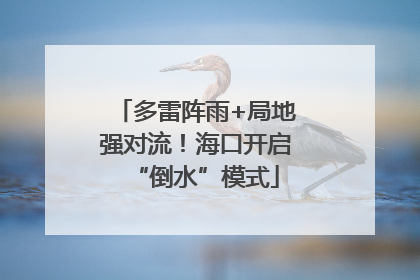 多雷阵雨+局地强对流！海口开启“倒水”模式