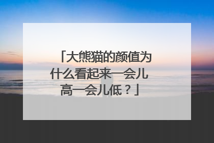 大熊猫的颜值为什么看起来一会儿高一会儿低？