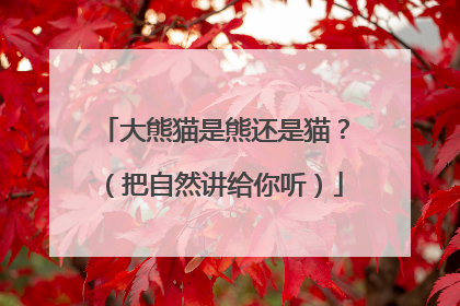 大熊猫是熊还是猫？（把自然讲给你听）