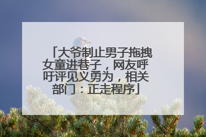 大爷制止男子拖拽女童进巷子，网友呼吁评见义勇为，相关部门：正走程序