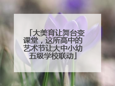 大美育让舞台变课堂，这所高中的艺术节让大中小幼五级学校联动