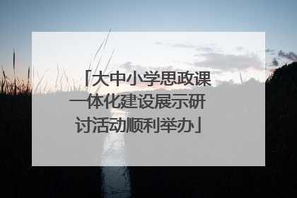 大中小学思政课一体化建设展示研讨活动顺利举办