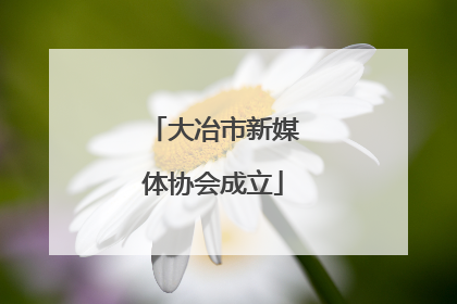 大冶市新媒体协会成立