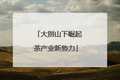 大别山下崛起茶产业新势力