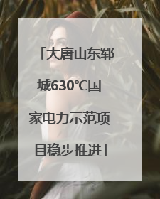 大唐山东郓城630℃国家电力示范项目稳步推进