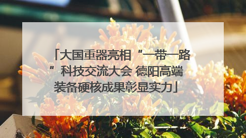 大国重器亮相“一带一路”科技交流大会 德阳高端装备硬核成果彰显实力