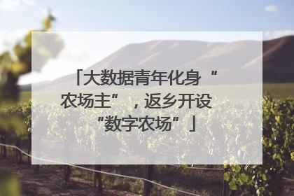大数据青年化身“农场主”，返乡开设“数字农场”