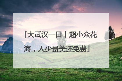大武汉一日丨超小众花海，人少景美还免费