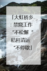 大虹桥乡：禁烧工作“不松懈“ 秸秆清运“不停歇