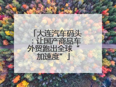 大连汽车码头：让国产商品车外贸跑出全球“加速度”