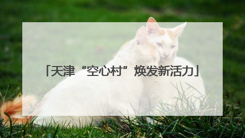 天津“空心村”焕发新活力