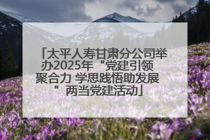 太平人寿甘肃分公司举办2025年“党建引领聚合力 学思践悟助发展”两当党建活动