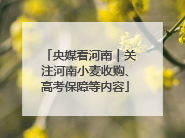 央媒看河南｜关注河南小麦收购、高考保障等内容