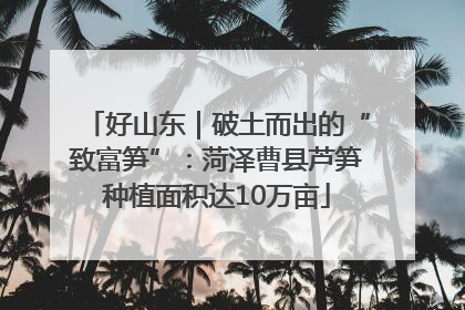 好山东｜破土而出的“致富笋”：菏泽曹县芦笋种植面积达10万亩