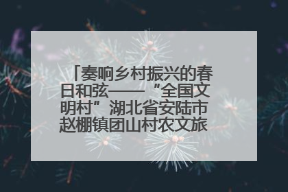 奏响乡村振兴的春日和弦——“全国文明村”湖北省安陆市赵棚镇团山村农文旅融合发展见闻