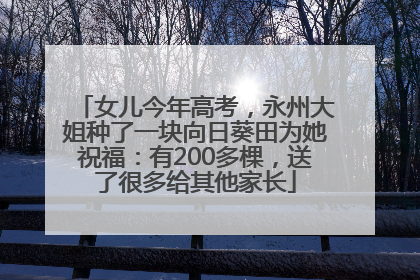 女儿今年高考，永州大姐种了一块向日葵田为她祝福：有200多棵，送了很多给其他家长