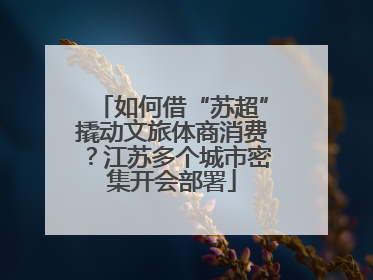 如何借“苏超”撬动文旅体商消费？江苏多个城市密集开会部署