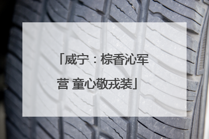 威宁：棕香沁军营 童心敬戎装