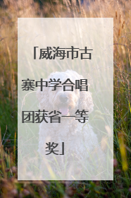 威海市古寨中学合唱团获省一等奖