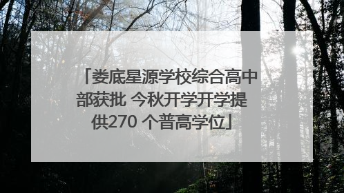娄底星源学校综合高中部获批 今秋开学开学提供270 个普高学位