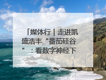 媒体行｜走进凯盛浩丰“番茄硅谷”：看数字神经下的精准农业
