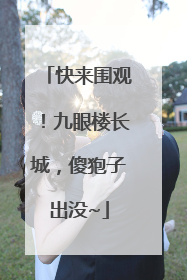 快来围观！九眼楼长城，傻狍子出没~