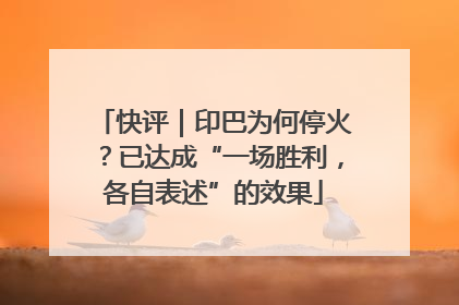 快评｜印巴为何停火？已达成“一场胜利，各自表述”的效果