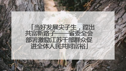 当好发展尖子生，蹚出共富新路子——省委全会部署激励江苏干部群众促进全体人民共同富裕