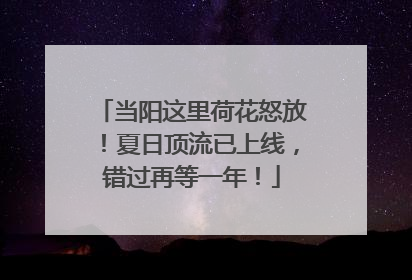 当阳这里荷花怒放！夏日顶流已上线，错过再等一年！