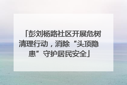 彭刘杨路社区开展危树清理行动，消除“头顶隐患”守护居民安全