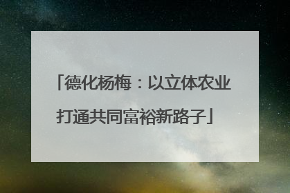 德化杨梅：以立体农业打通共同富裕新路子