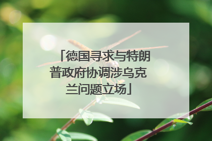 德国寻求与特朗普政府协调涉乌克兰问题立场