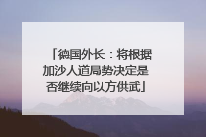 德国外长：将根据加沙人道局势决定是否继续向以方供武
