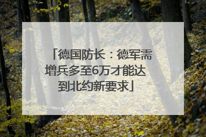 德国防长：德军需增兵多至6万才能达到北约新要求