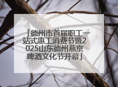 德州市首届职工一站式惠工消费节暨2025山东德州燕京啤酒文化节开幕