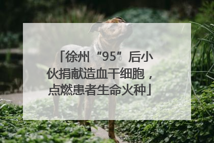 徐州“95”后小伙捐献造血干细胞，点燃患者生命火种