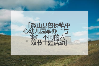 微山县鲁桥镇中心幼儿园举办“与‘粽’不同的六一”双节主题活动