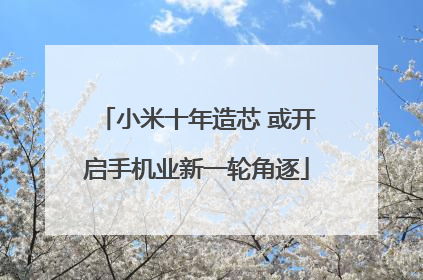小米十年造芯 或开启手机业新一轮角逐