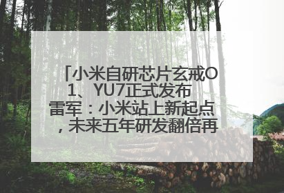小米自研芯片玄戒O1、YU7正式发布 雷军：小米站上新起点，未来五年研发翻倍再投2000亿元